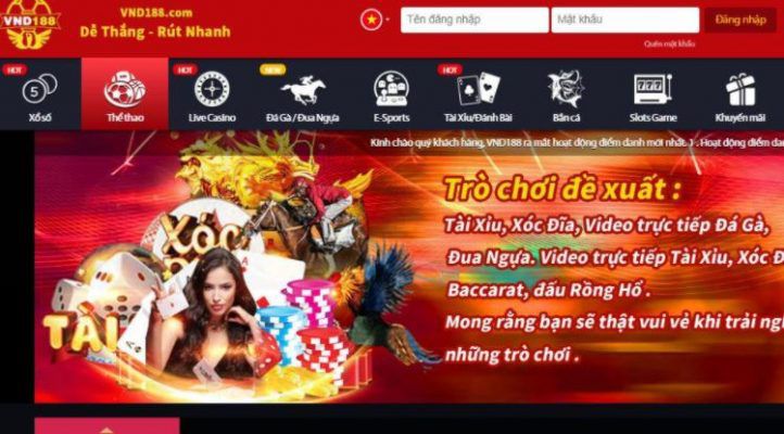 Xổ số C54 có tỷ lệ trúng thưởng rất cao - C54
