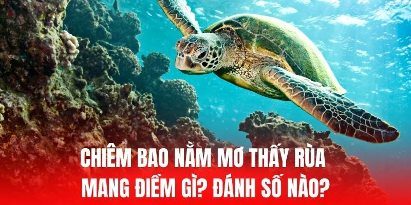 Hãy tham gia trang web xổ số Pkvip được thiết kế dành riêng cho người mới bắt đầu - Pkvip