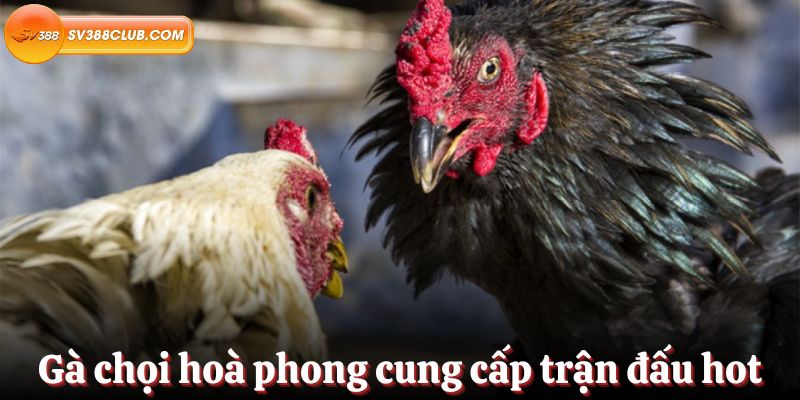 Sau đây là phần giới thiệu ngắn gọn về công ty sản xuất game đạt chuẩn Bk8 này - Bk8