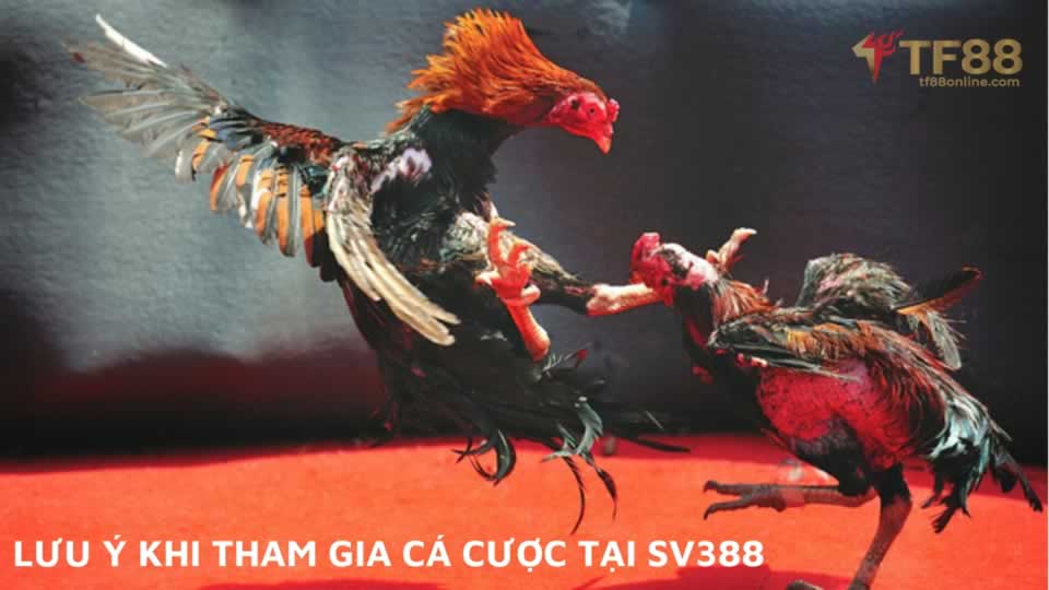Nền tảng Ae88 ra mắt game thẻ bài 3D với phần thưởng hấp dẫn - Ae88