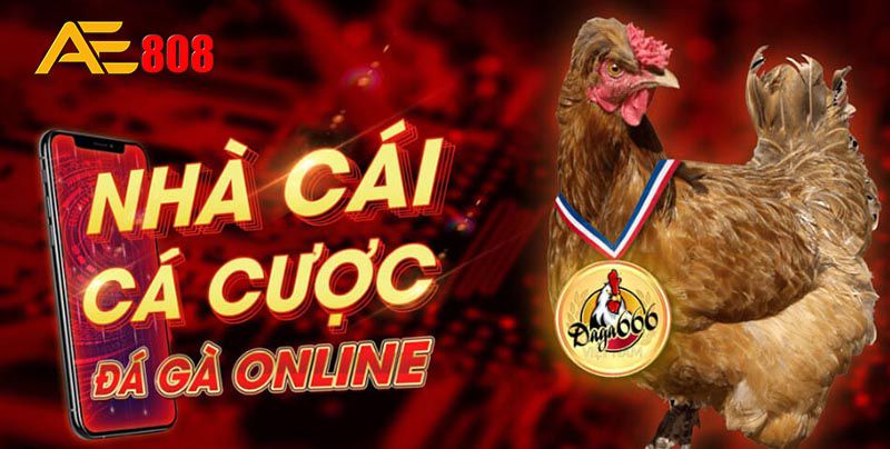Winwin Bet là một nền tảng cá cược trực tuyến độc đáo với những tính năng chính sau đây - Winwin
