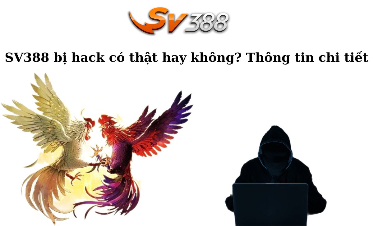 Giải vô địch và sứ mệnh Bigboss - Bigboss