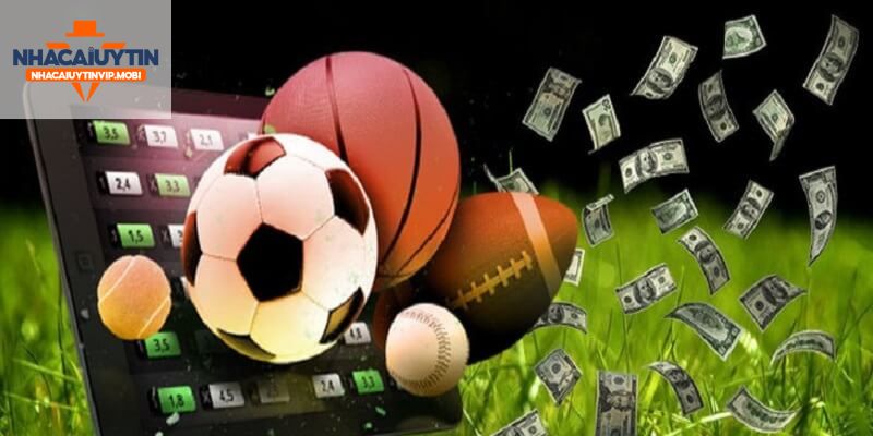 Việc đạt được xếp hạng 85Bet mang lại những lợi ích gì? - 85Bet