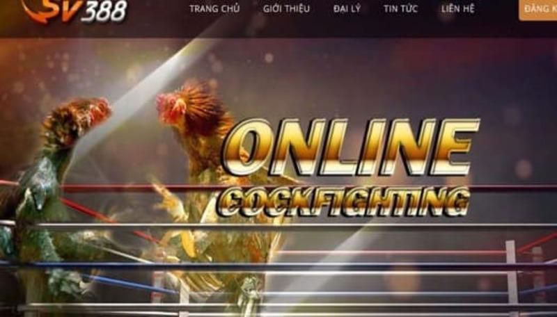 Các giao dịch gửi và rút tiền an toàn và đáng tin cậy, được xếp hạng Ae88 - Ae88