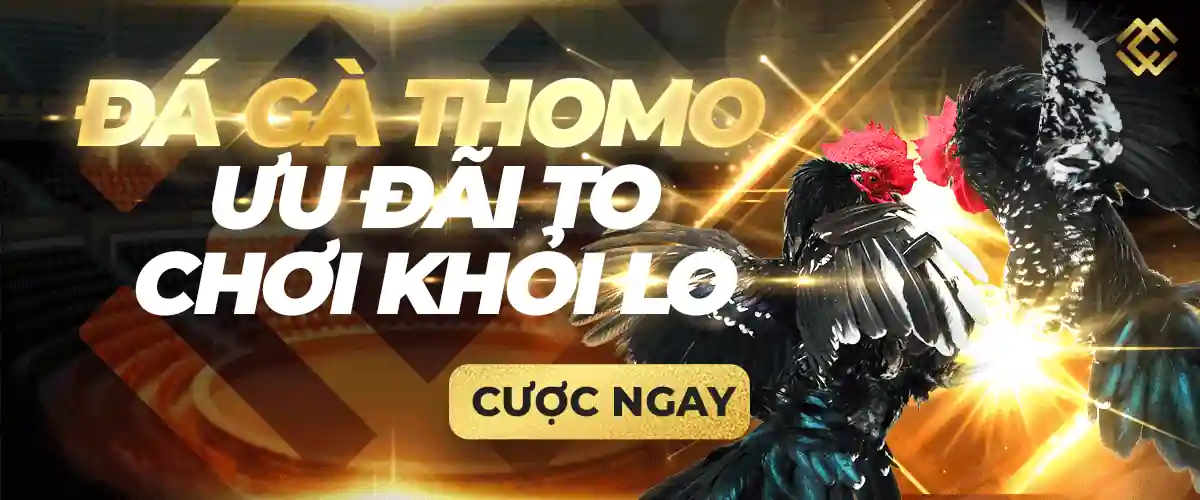 Một vài điều cần lưu ý khi tải xuống các trò chơi được xếp hạng 388Bet - 388Bet