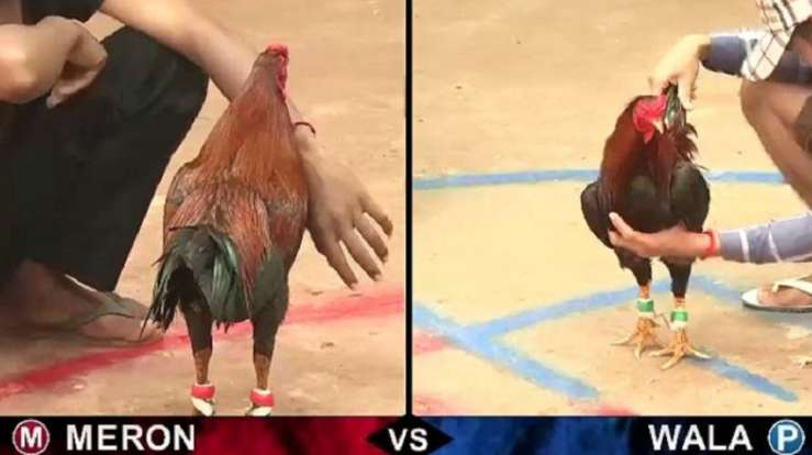 Tổng quan về các công ty game hàng đầu châu Á - Ee88
