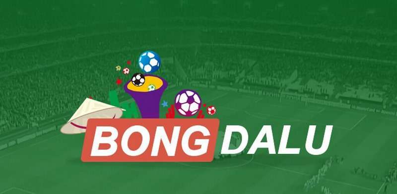 Thăng cấp người chơi cấp 123Bet - 123Bet