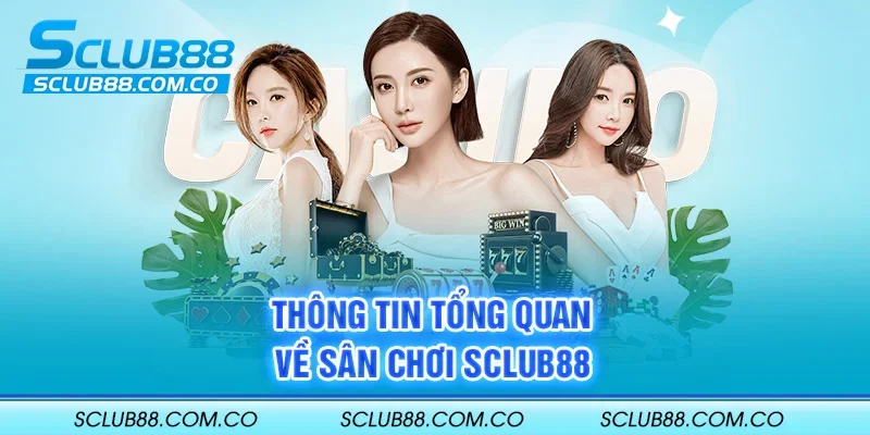 Tổng quan về các hoạt động quảng bá phổ biến nhất của Vb777 - Vb777