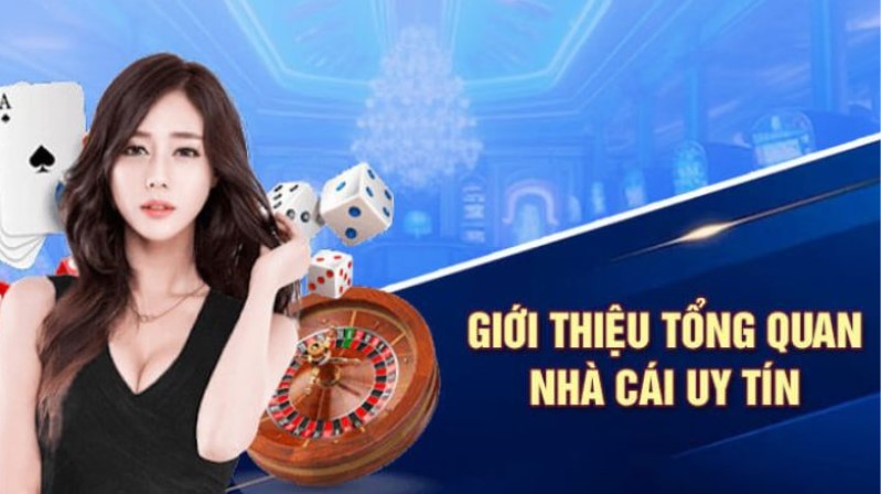 117Bet là một nhà cung cấp trò chơi bài trực tuyến uy tín - 117Bet