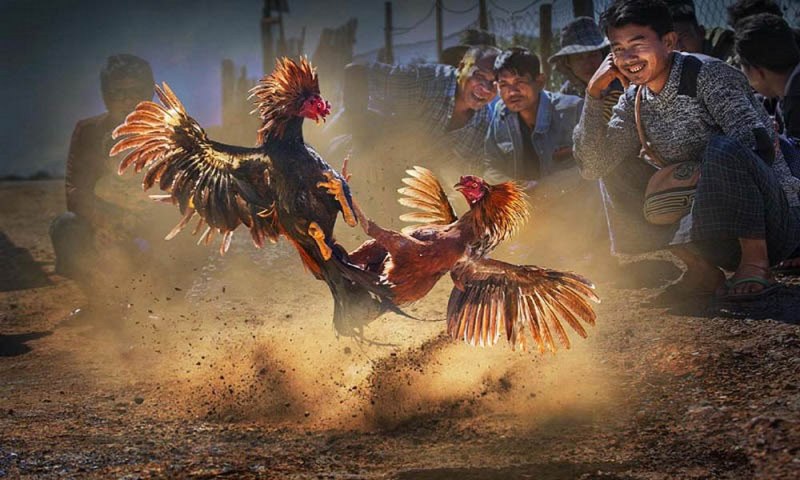 Betvn gg có một số chương trình khuyến mãi rất hấp dẫn - Betvn